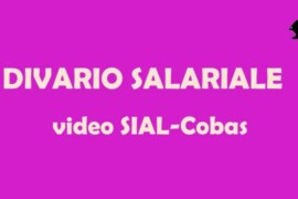 Campagna contro il divario salariale donna – uomo VIDEO SIAL COBAS