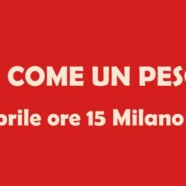 SANI COME UN PESCE?
