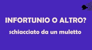 Morire a72 anni sul lavoro, Italia (Europa occidentale…)