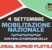 Global Sumud Flotilla, giovedì 4 presidio a Milano a sostegno della partenza