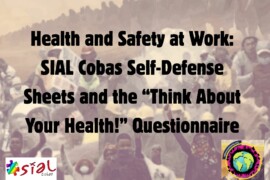 Health and Safety at Work: SIAL Cobas Self-Defense Sheets and the “Think About Your Health!” Questionnaire
