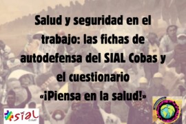 Salud y seguridad en el trabajo: las fichas de autodefensa del SIAL Cobas y el cuestionario «¡Piensa en la salud!»